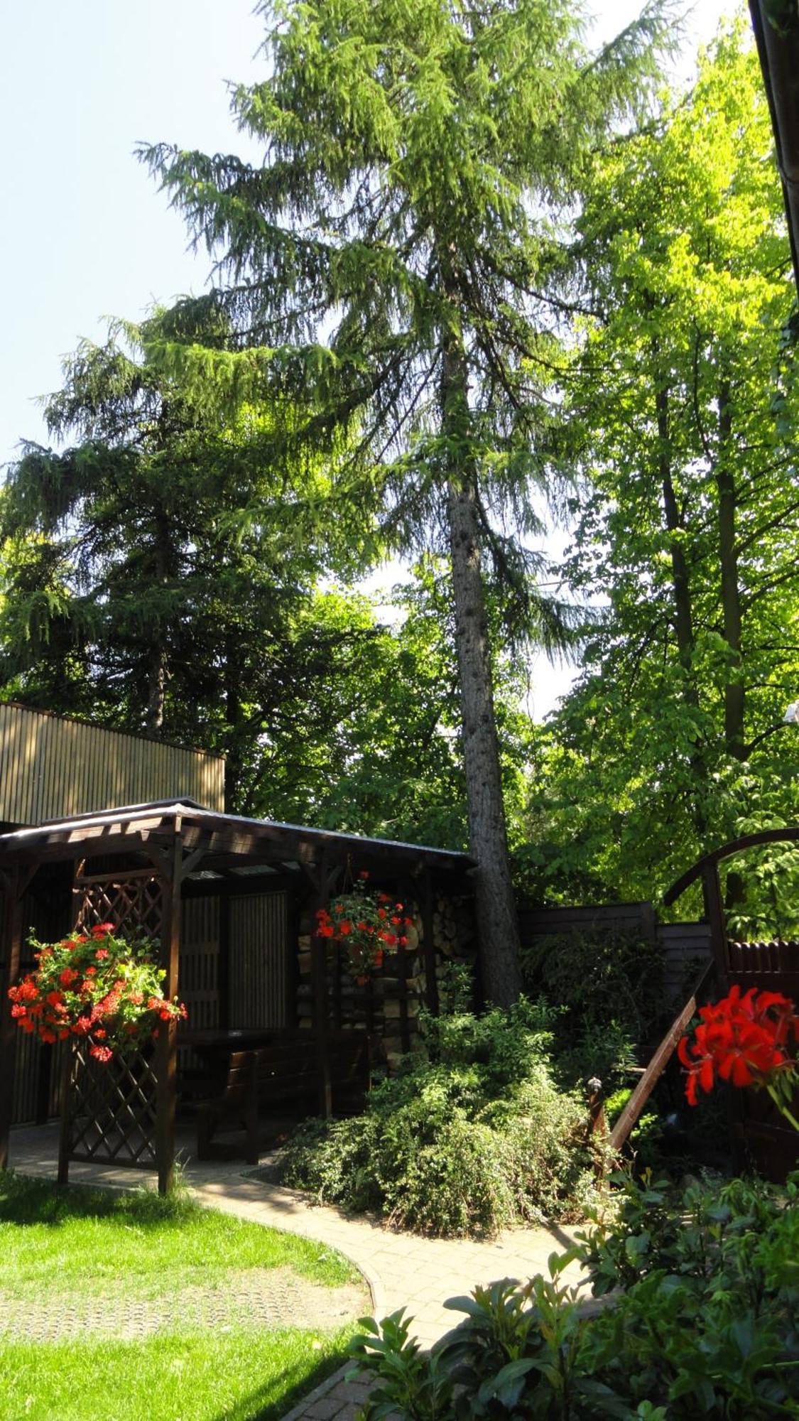 Villa Zosienka Gdańsk Eksteriør bilde